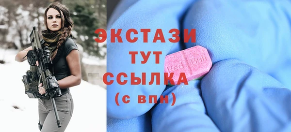 хмурый Каменка