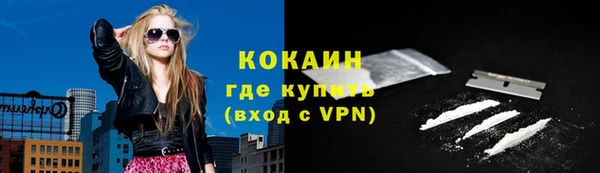 МДПВ Каменногорск