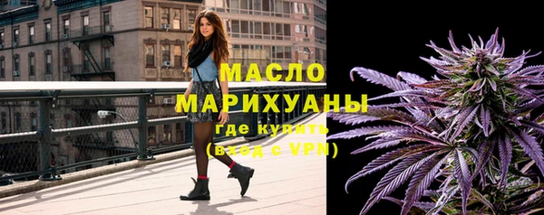 МДПВ Каменногорск