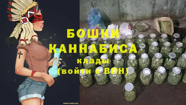 хмурый Каменка
