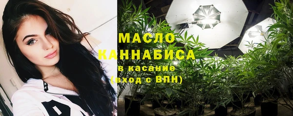 МДПВ Каменногорск