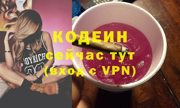 хмурый Каменка