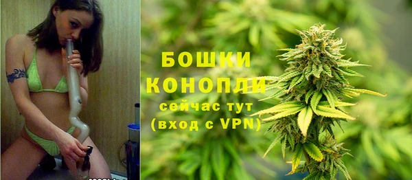 хмурый Каменка