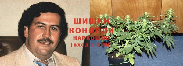 хмурый Каменка
