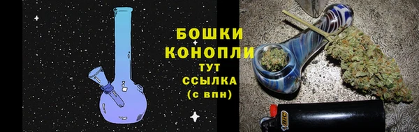 хмурый Каменка