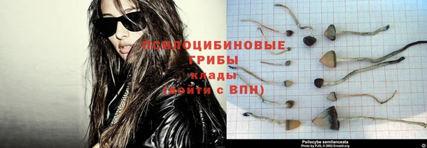 мет Каменск-Шахтинский