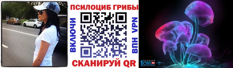 продажа наркотиков  omg зеркало  Псилоцибиновые грибы прущие грибы  Туран 